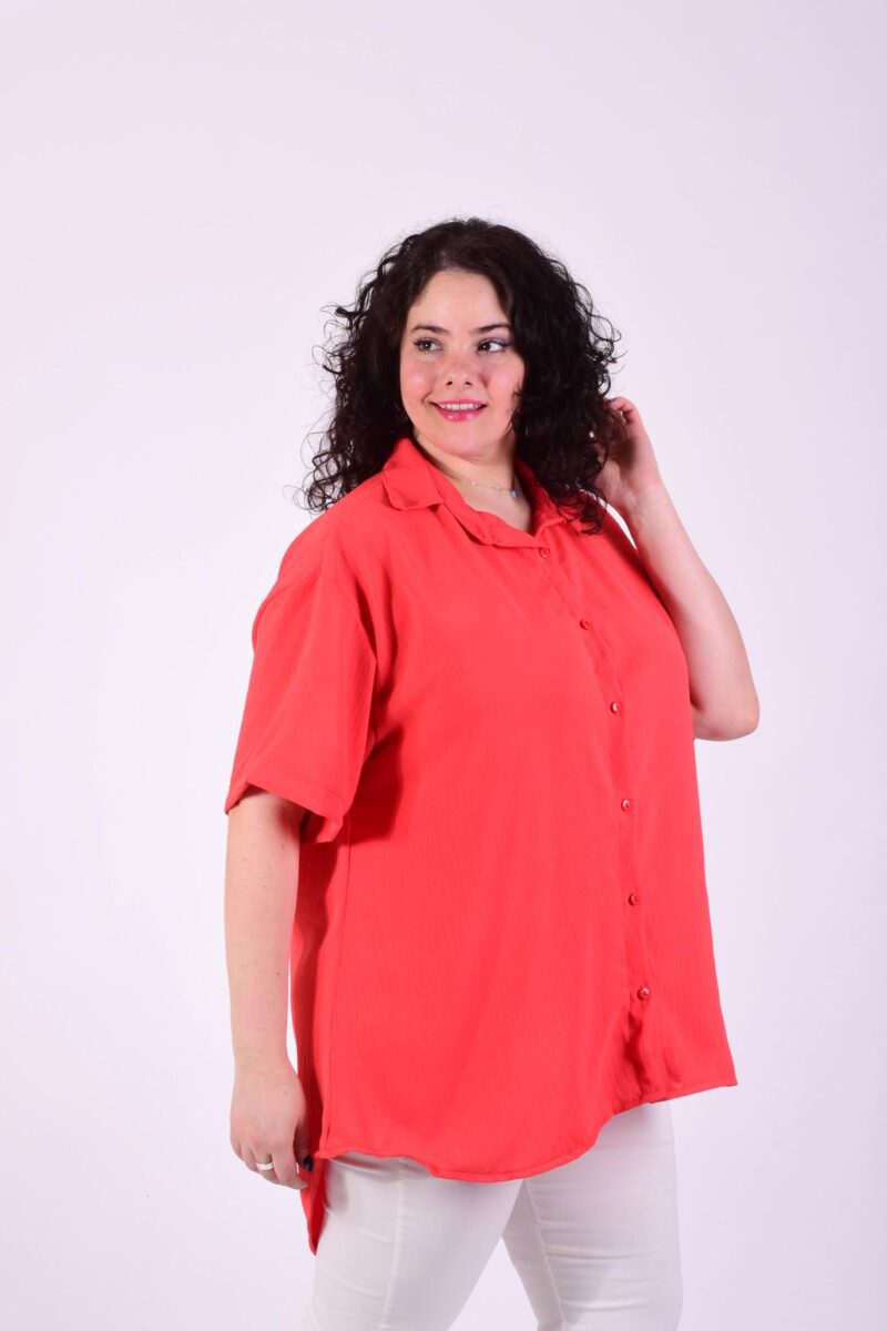 Camisa Lino Sey -